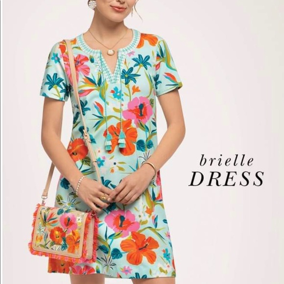 Spartina 449 Dresses & Skirts - Spartina 449 Brielle A Line Fit Dress NWOT Small